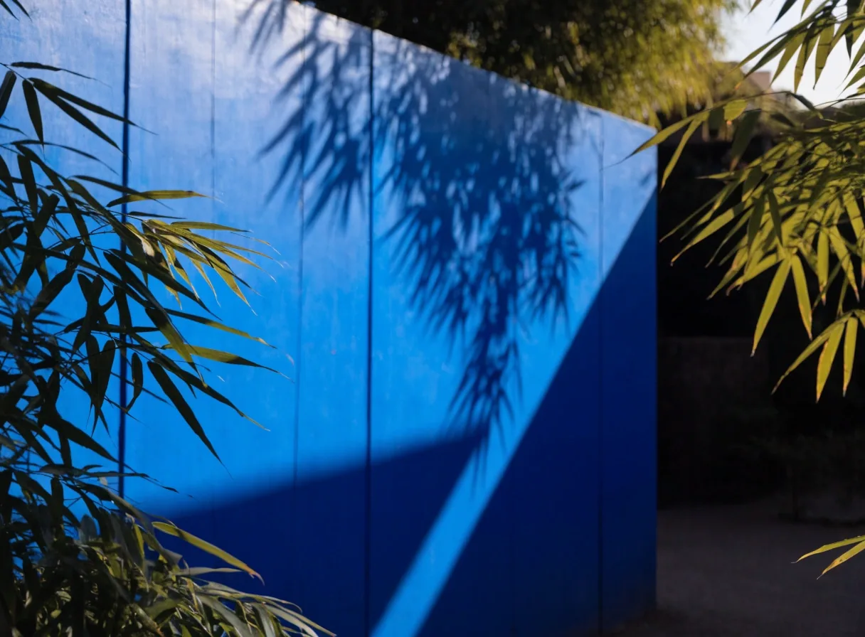 Mur bleu Majorelle traversé par l'ombre des bambous
