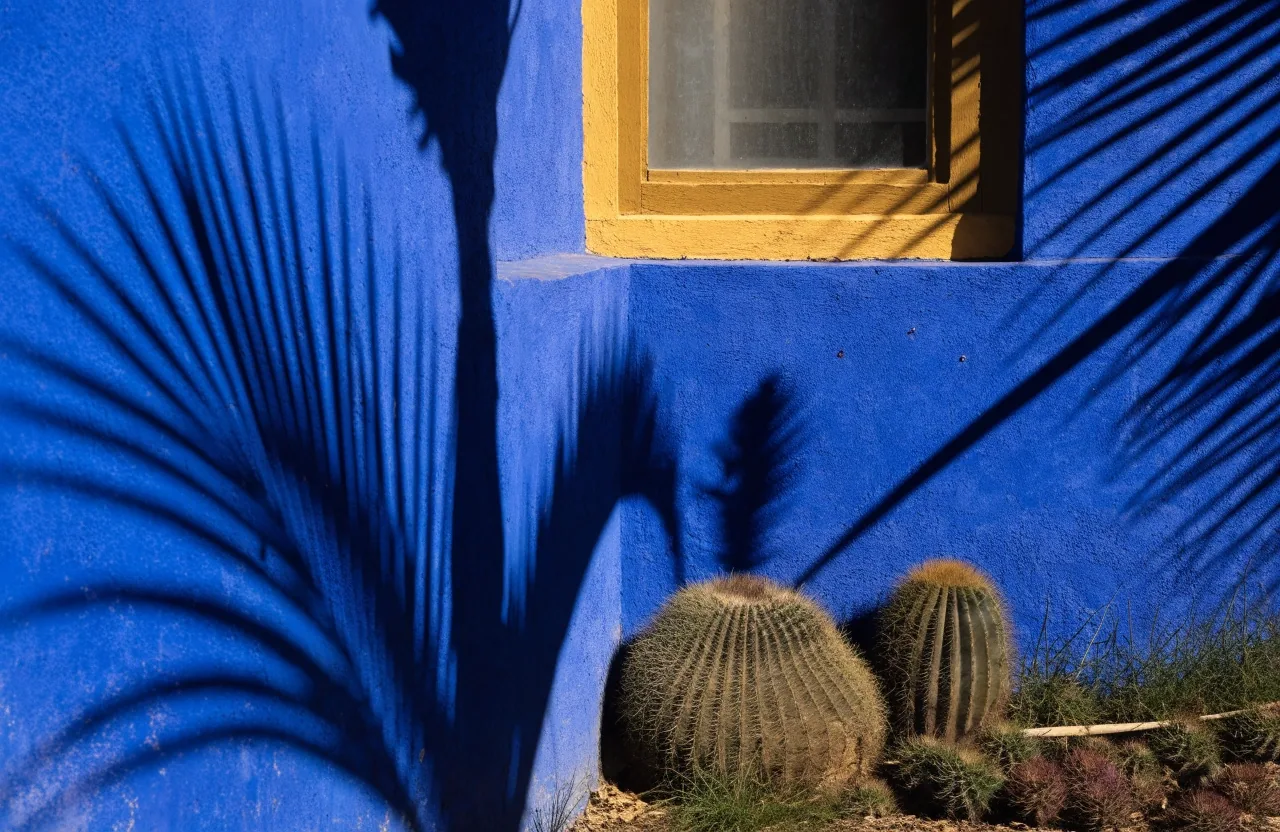 Détail du mur bleu Majorelle traversé par une ombre de bambou