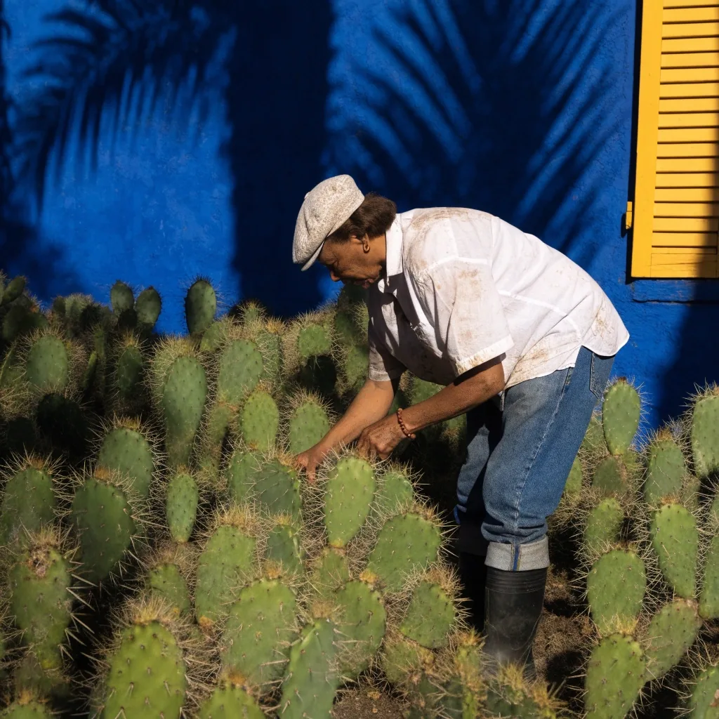 Façade bleue de l’atelier entourée de cactus et de palmiers