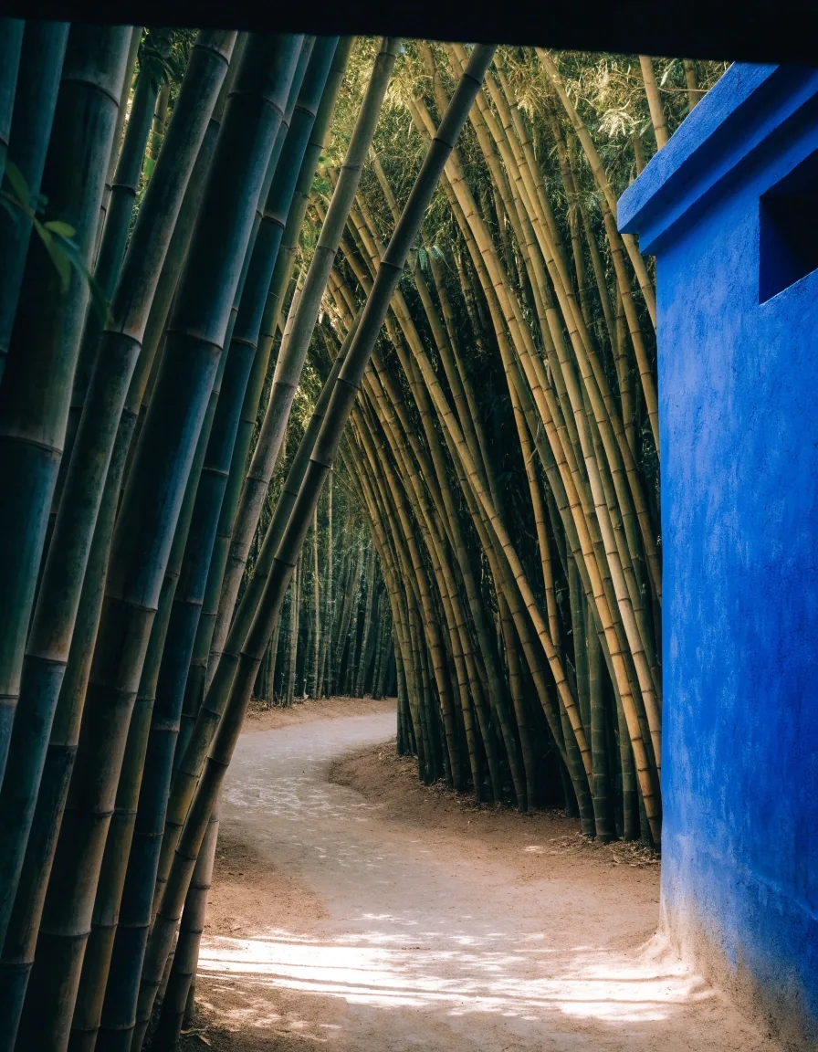 Bassin aux nénuphars reflétant un mur bleu du Jardin Majorelle